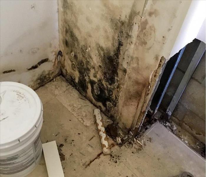 Mold growth on the wall of a Deerfield Beach, FL home