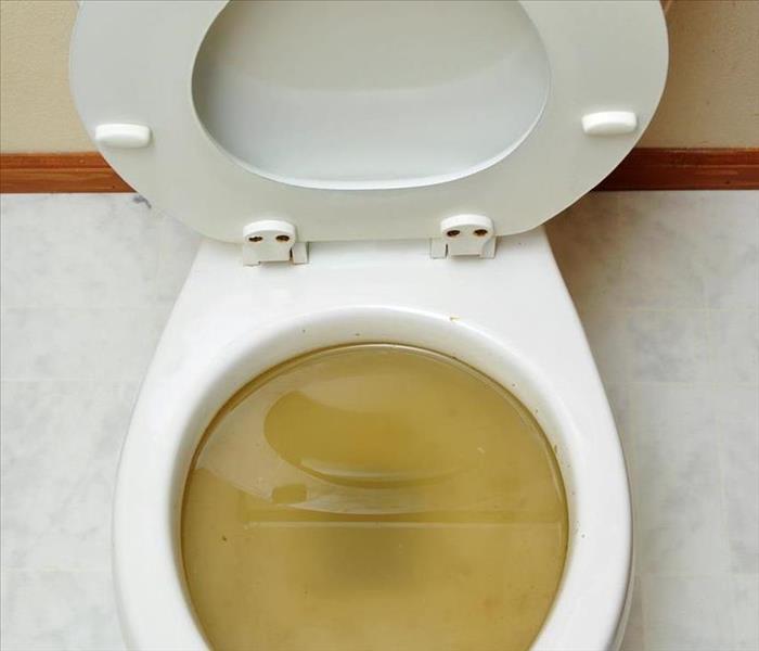 A toilet with standing water