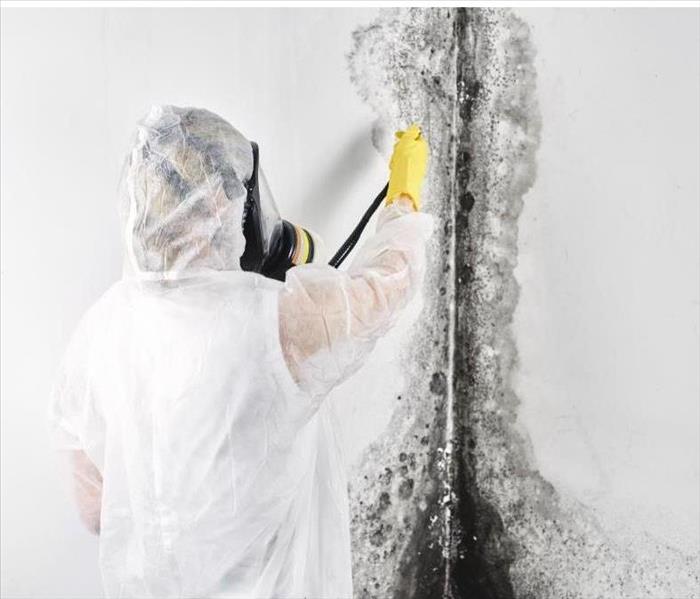 A specialist removing mold from a room